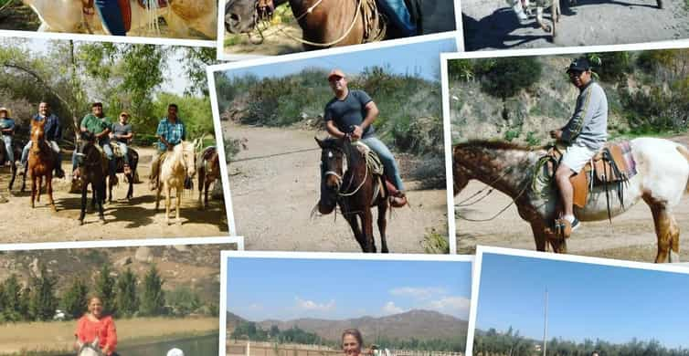 Ensenada: Punta Banda Horseback Riding Tour | GetYourGuide