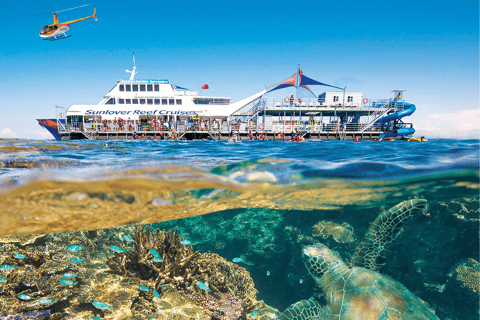 Cairns: Reef Zoom Half Day Helicopter &amp; Snorkeling TourReef Zoom Half Day, Cruise Out, Heli Flight Back