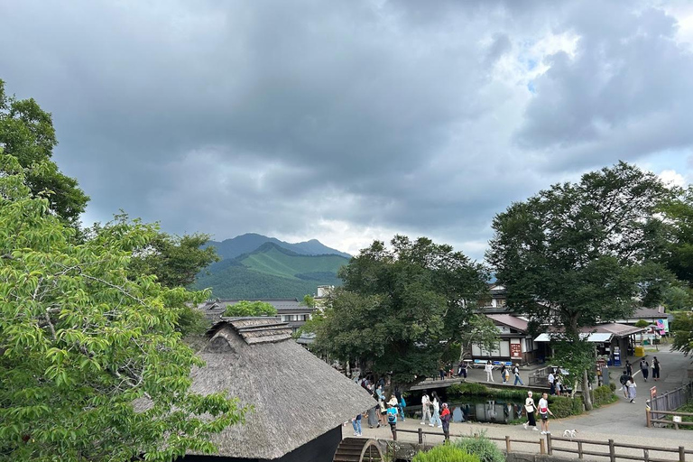 Mt Fuji Day tour by Car with English speaking driver Guide
