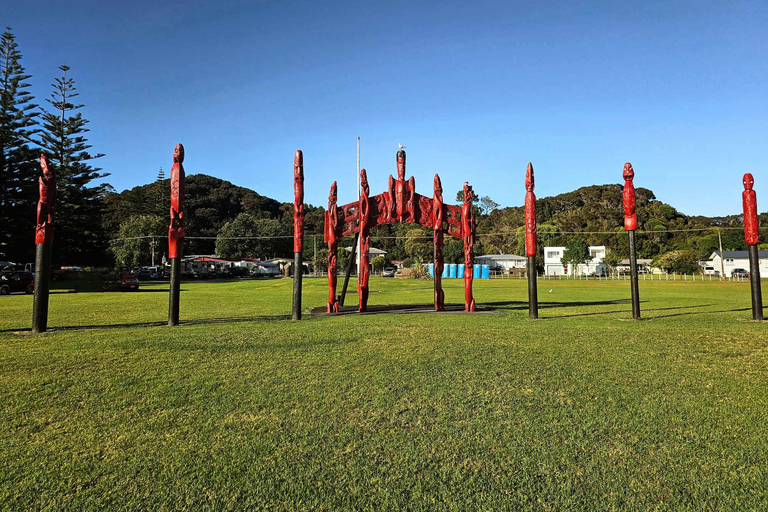 Bahía de las Islas - MiniexcursiónBahía de las Islas - Mini tour