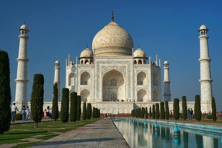 Agra: Sunrise Taj Mahal and Elephant Wildlife SOS TourPrivate Tour with Entry Tickets and Lunch