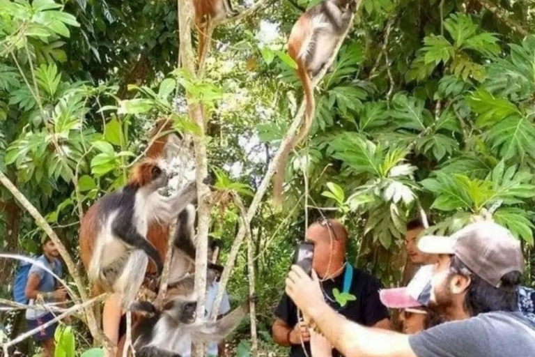 Wycieczka z delfinami Mnemba, las Jozani i restauracja The RockMiejsce zbiórki wyłącznie w Mnemba Transfer Point