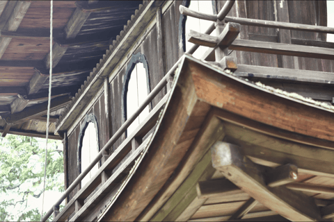 Kyoto: Tour guidato a piedi del Padiglione d'Argento