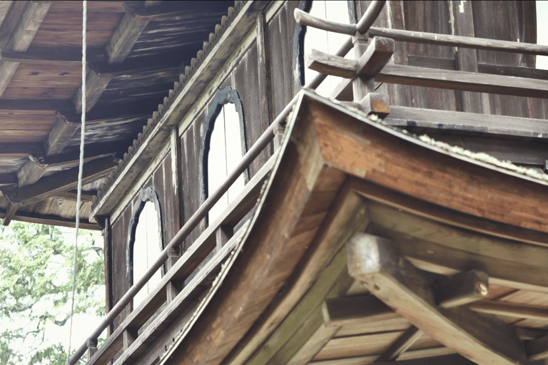 Kyoto: Tour guidato a piedi del Padiglione d'Argento