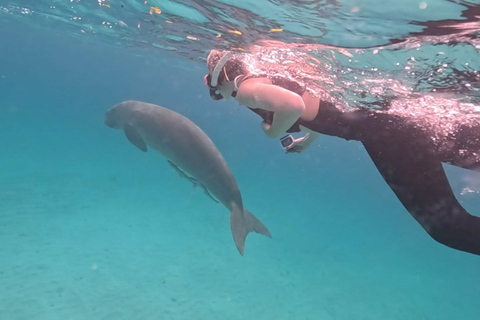 Coron: Dugong and Sea Turtle Watching with Lunch