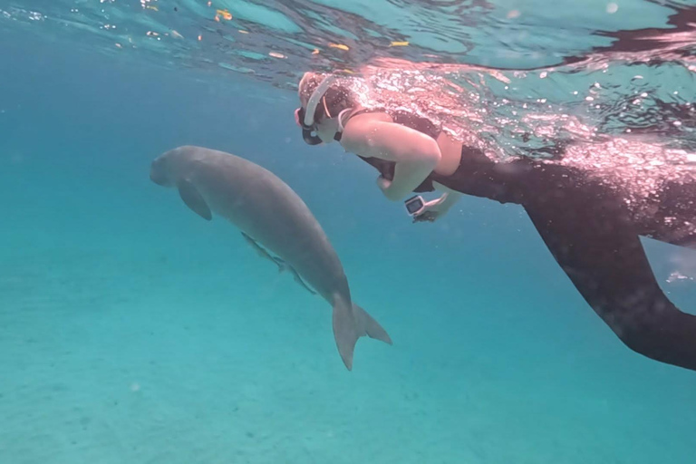 Coron: Dugong and Sea Turtle Watching with Lunch
