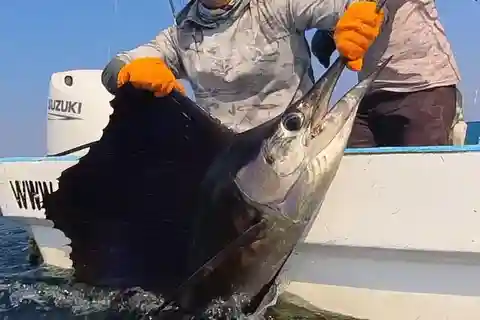 Puerto Escondido: Fishing and Eating Experience