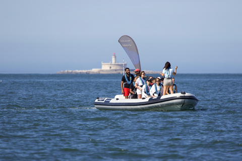 Lisbon: Dolphin Watching Boat Tour