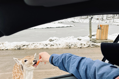 Montreal: Omega Park Private Tour with Pickup & Guide