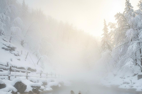 Tokyo: Snow Monkey Park & Nagano Highlights Private Trip Tokyo: Snow Monkeys Park Full-Day Private Customizable Trip