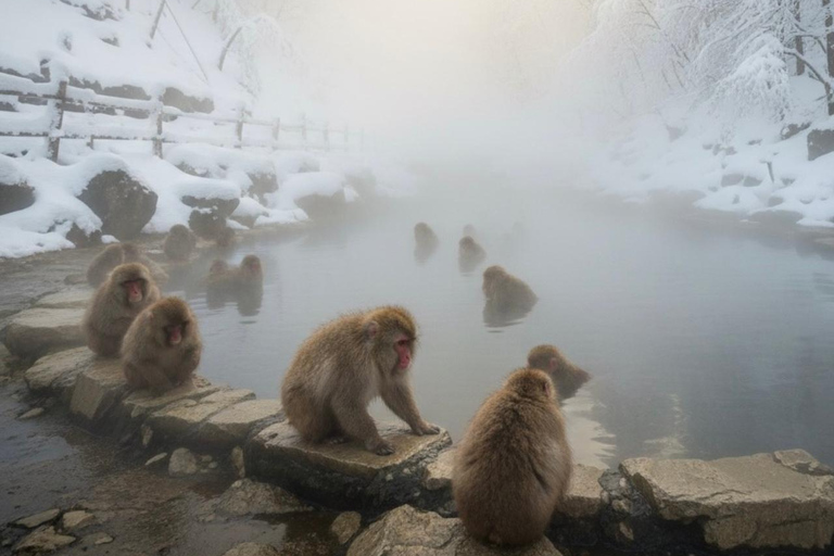 Tokyo: Snow Monkey Park & Nagano Highlights Private Trip Tokyo: Snow Monkeys Park Full-Day Private Customizable Trip