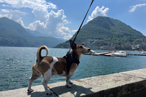 From Como: Bellagio and Lugano Tour with Lake Como Cruise