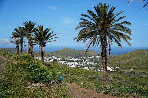 Magical Lanzarote: Northern Island Tour