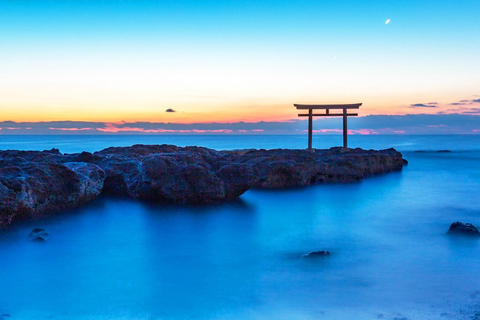 Tokyo & Ibaraki Tour: Hitachi Seaside Park & Adachi Wisteria