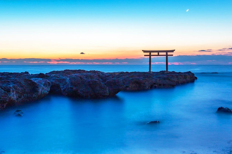 Tokyo & Ibaraki Tour: Hitachi Seaside Park & Adachi Wisteria