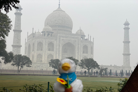 Z Delhi: wycieczka samochodem o wschodzie słońca do Taj Mahal, all inclusivePrywatna wycieczka o wschodzie słońca do Taj Mahal z Delhi all inclusive