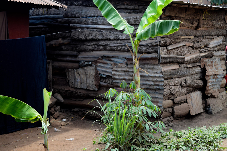 Mto wa Mbu: Waterfall, Maasai Boma, Village, & Balaa Hill Mto wa Mbu Tour & Canoe Ride on Lake Manyara