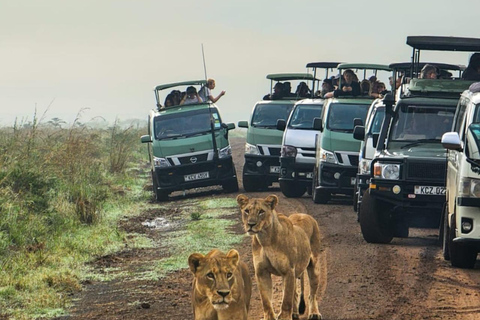 Parque Nacional de Nairobi Privado: Excursão de meio dia com safáriParque Nacional de Nairobi: Tour particular em van com teto aberto