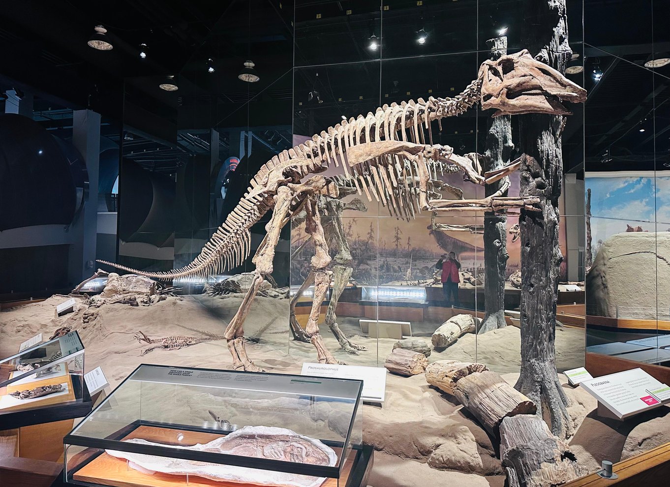 Badlands-tur: Drumheller med museum, hoodoos og dinosaurer