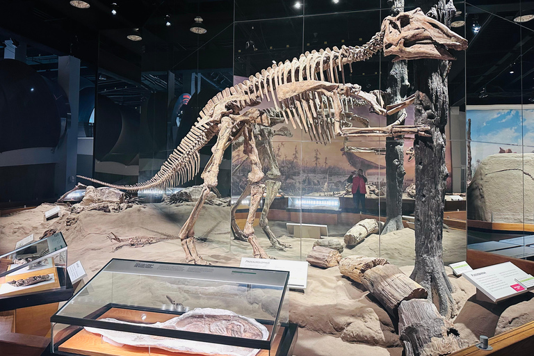 Badlands Tour: Drumheller with Museum, Hoodoos & Dinosaurs Booking Option for Summer 2026