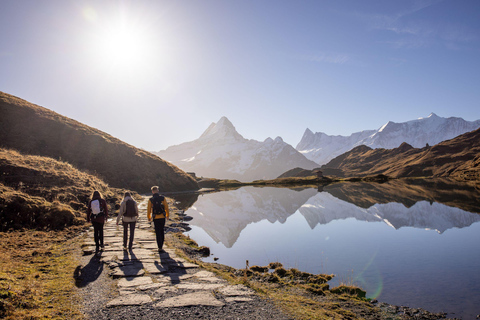 Tour privato guidato a Grindelwald prima di tutto da Zurigo