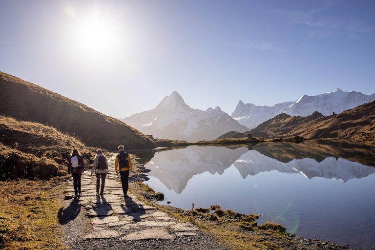 Prywatna wycieczka z przewodnikiem do Grindelwald First z Zurychu