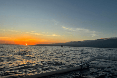 Bali: Dolphin Swimming Tour with ATV Quad Bike & Waterfall Dolphin, Waterfall, Tandem ATV Bike (Central & South Bali)