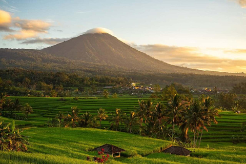Bali: Jatiluwih Rice Terraces, Waterfall & Temple Tour