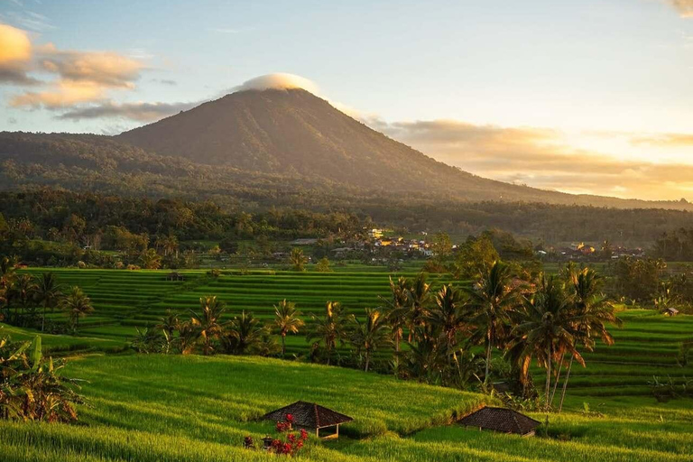 Bali: Jatiluwih Rice Terraces, Waterfall & Temple Tour