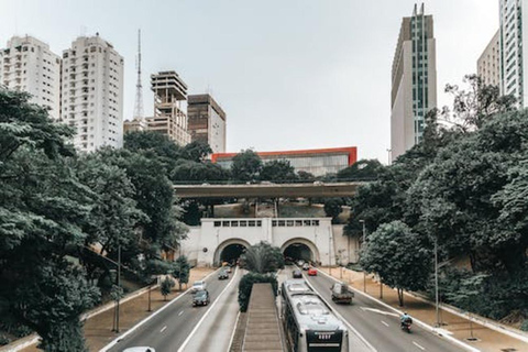 Excursión a Santos: Visita de Sao Paulo y Aeropuerto