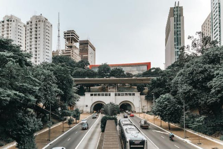 Excursão em terra em Santos: São Paulo e Aeroporto