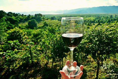 Visit: Gambino Vini Etna Winery + Private Transfer from Taormina Visit: Cantina dell'Etna Gambino Vini + Private Transfer from Taormina
