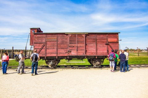 Desde Cracovia: tour Auschwitz-Birkenau con transporteTour con transporte compartido