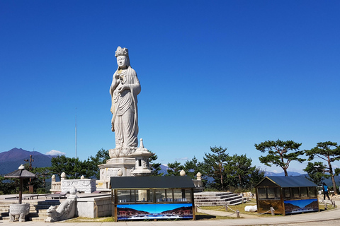 From Seoul: Mt. Seoraksan, Nami Island, Morning Calm Garden