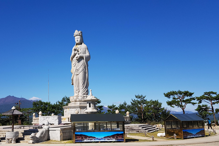 From Seoul: Mt. Seoraksan, Nami Island, Morning Calm Garden