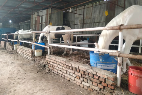 Kathmandu: Guided Horseback Riding Experience Kathmandu: Guided Horseback Riding Experience