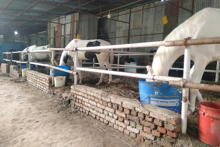 Kathmandu: Guided Horseback Riding Experience Kathmandu: Guided Horseback Riding Experience