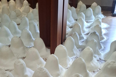 Tour of the beautiful city of Cuenca, Ecuador, visiting museums and cathedrals. Tour in the beautiful city of Cuenca Ecuador, visit museums, Cathedrals.