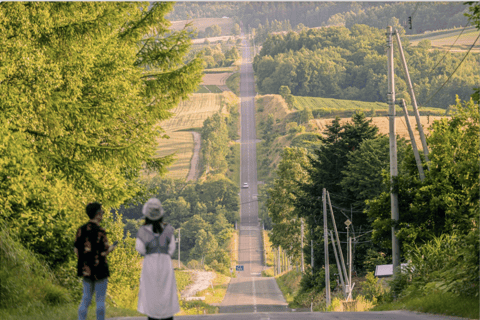 Vanuit Sapporo : Hokkaido Furano Tomita Boerderij Joiner Tour