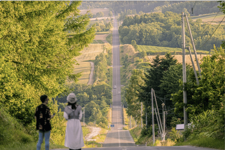 Vanuit Sapporo : Hokkaido Furano Tomita Boerderij Joiner Tour