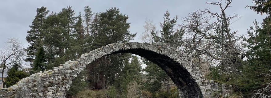 Au départ de Carrbridge : les Cairngorms, le whisky et l'histoire des Highlands