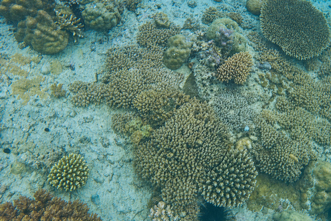 Zanzibar: Tumbatu Island Culture and Snorkeling Tour