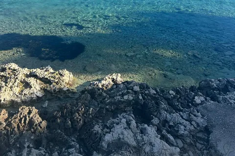 Privétour Gin, honing en wijn, ontdek Korcula