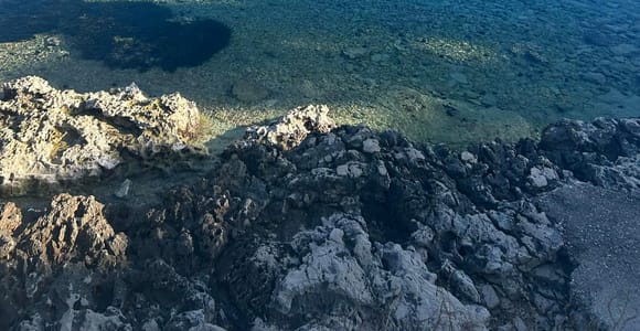 Private Tour Gin, Honig und Wein, Korcula entdecken