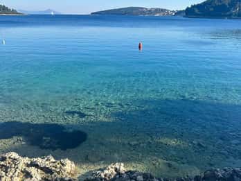 Private tour Gin, Honey and Wine, Discover Korcula