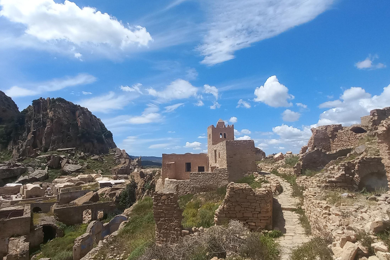 From Tunis: Berber Heritage & Organic Olive Oil Tasting Tour Tunis-Hammamet: Organic Olive Oil Mill Tour & Tasting