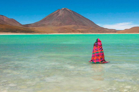 Vanuit Uyuni: Geiser en Uyuni Zoutvlaktes 3-Dagen | Flamingo&#039;s