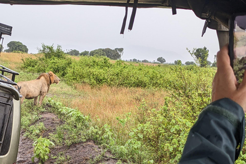 Kigali: Akagera National Park Safari with Boat Cruise