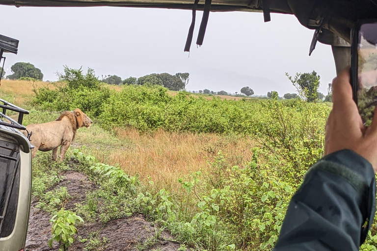 Kigali: Akagera National Park Safari with Boat Cruise