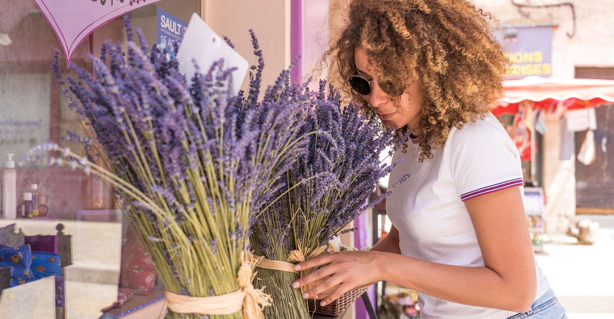 From Avignon, Lavender Tour to Sault - Housity